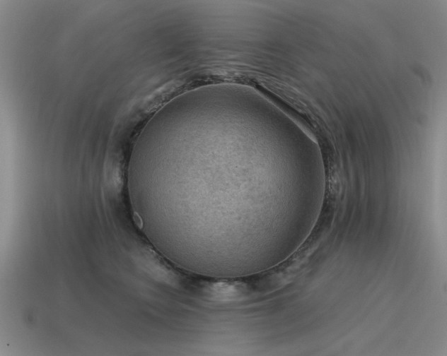 X0000115610566200911101429