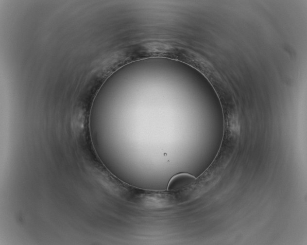 X0000115610567200911101429