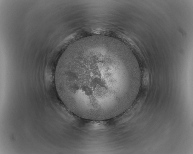 X0000115610569200911101429