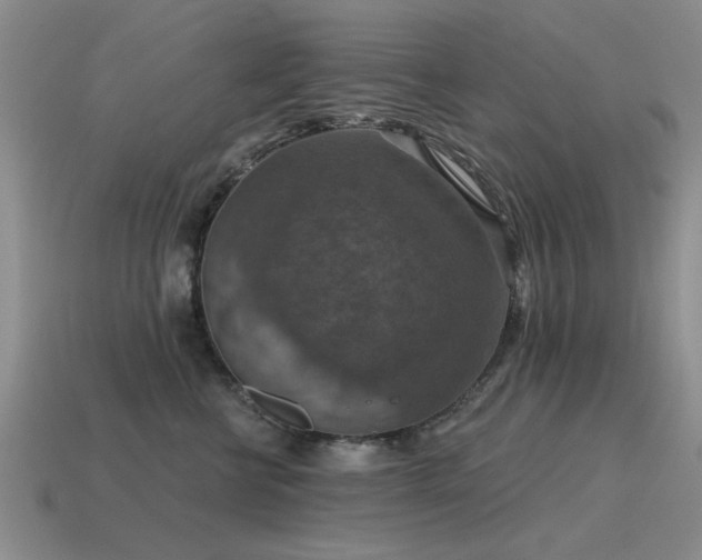 X0000115610570200911101429