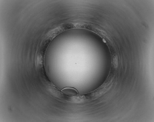 X0000115610571200911101429