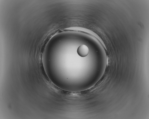 X0000115610573200911101429