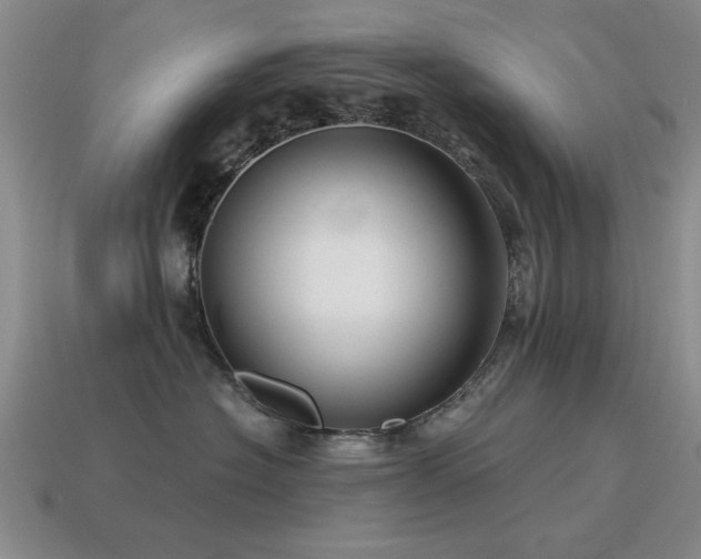 X0000115610574200911101429