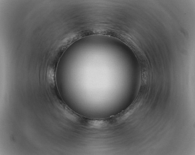 X0000115610575200911101429