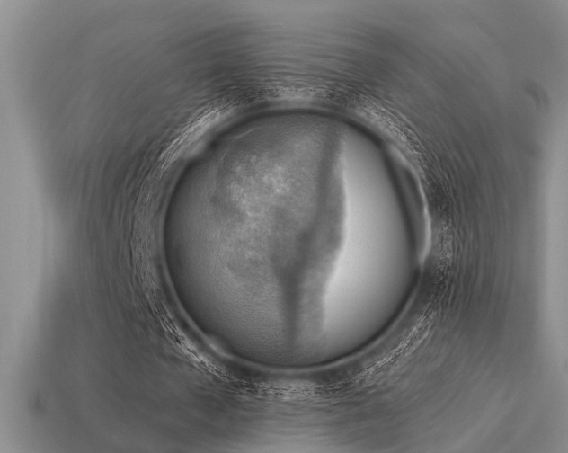 X0000115610577200911101429