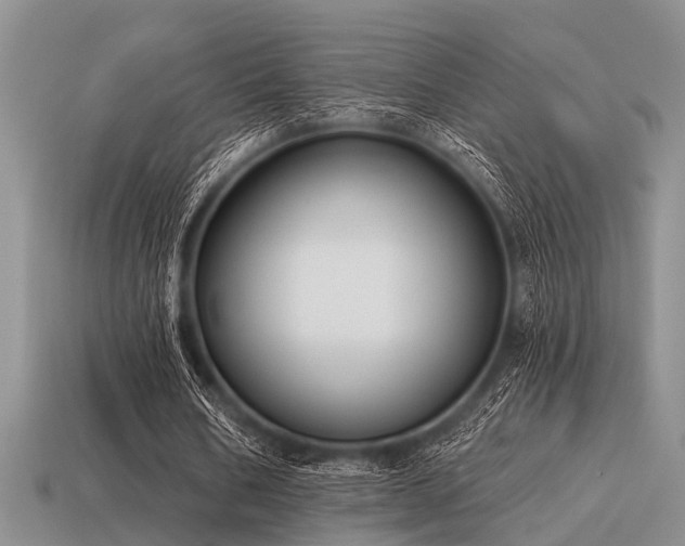 X0000115610578200911101429