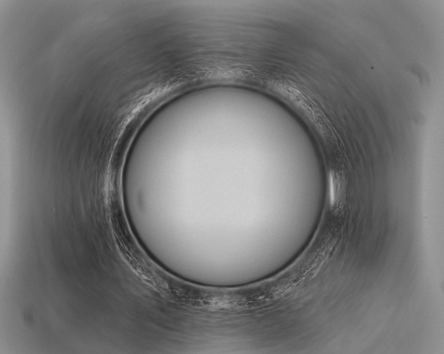 X0000115610579200911101429