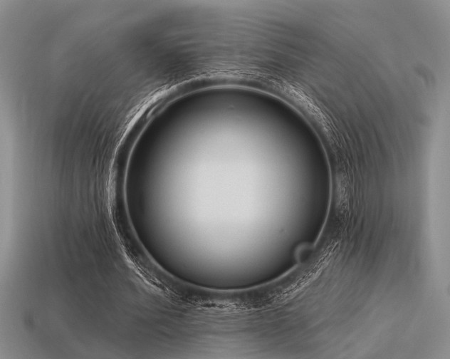 X0000115610580200911101429