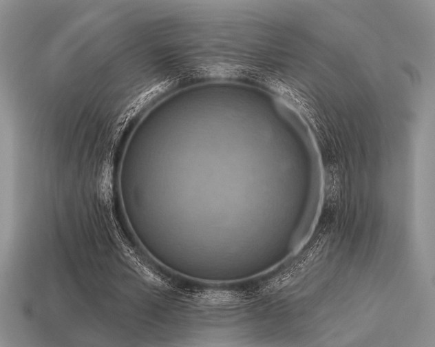 X0000115610581200911101429