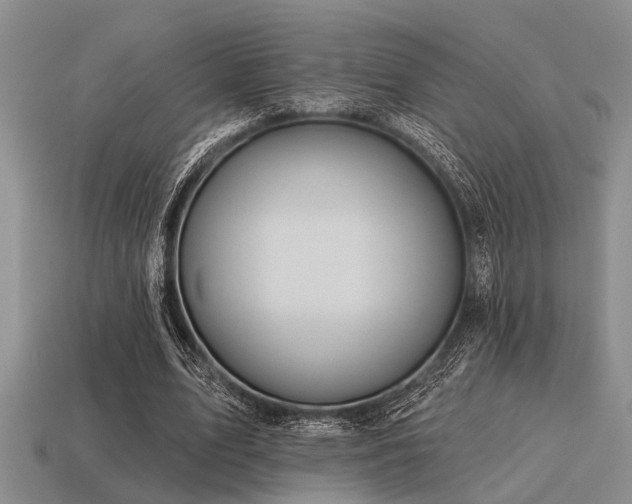 X0000115610583200911101429