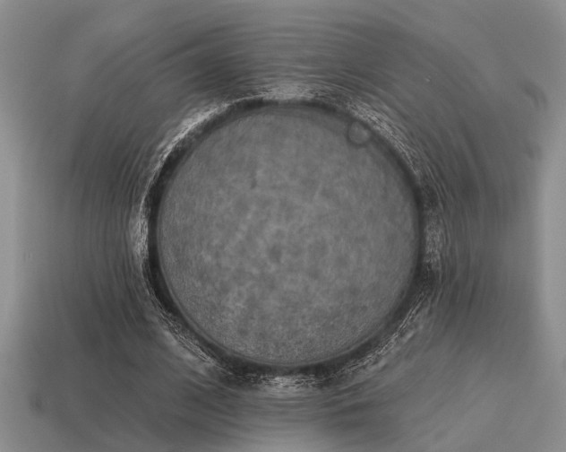 X0000115610584200911101429