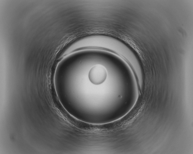 X0000115610585200911101429