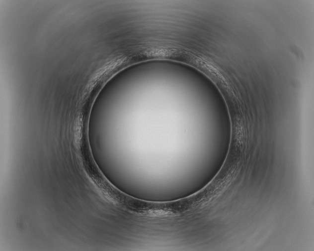 X0000115610586200911101429