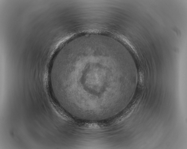 X0000115610588200911101429