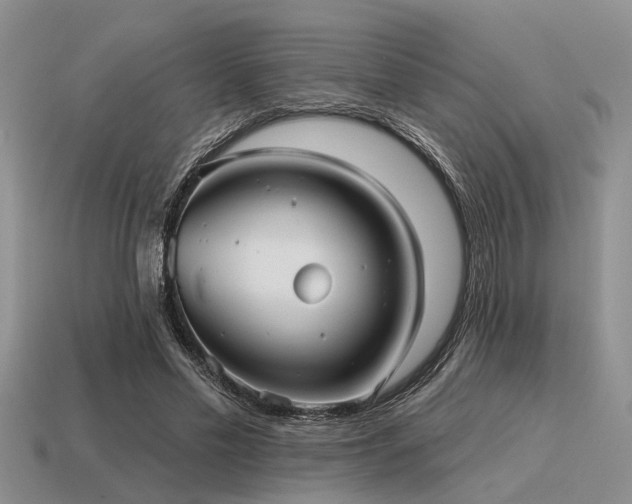 X0000115610589200911101429