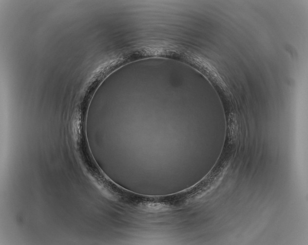 X0000115610590200911101429