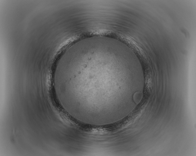 X0000115610591200911101429