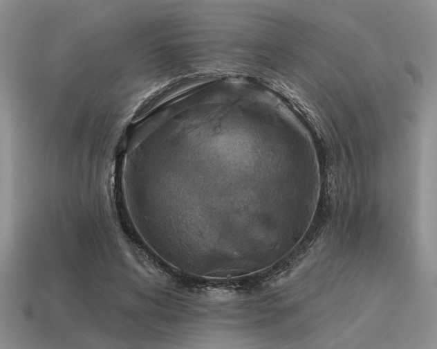 X0000115610592200911101429