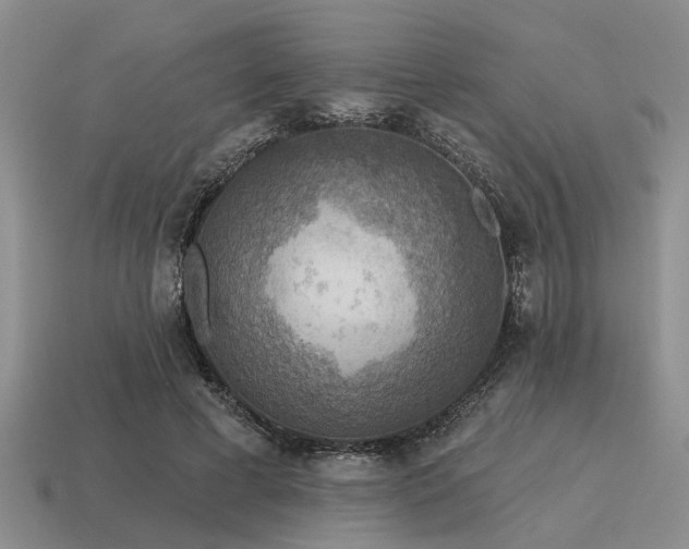 X0000115610593200911101429