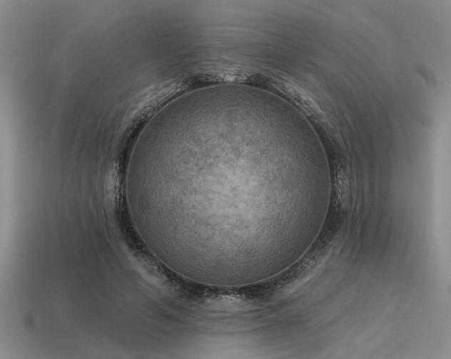 X0000115610594200911101429