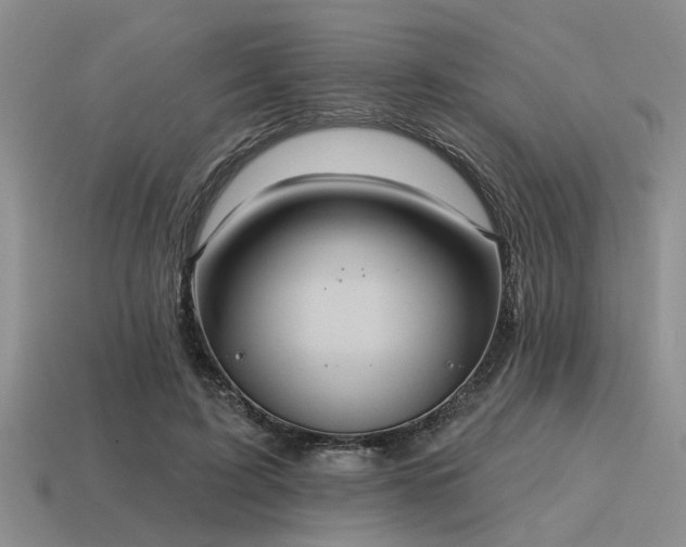 X0000115610595200911101429