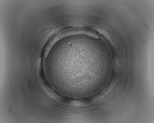X0000115610596200911101429