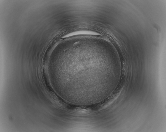 X0000115610597200911101429