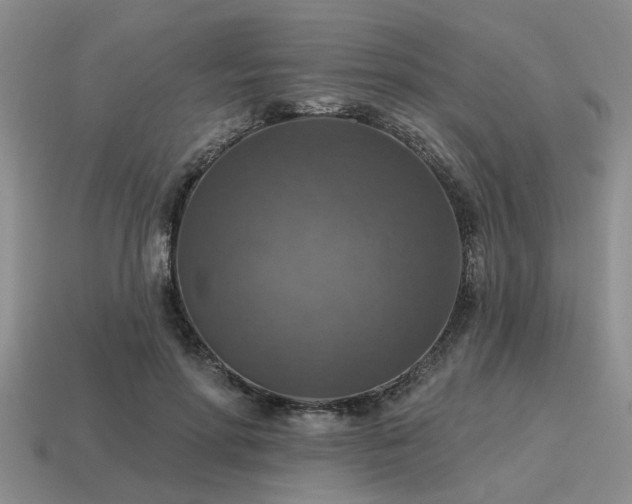 X0000115610598200911101429