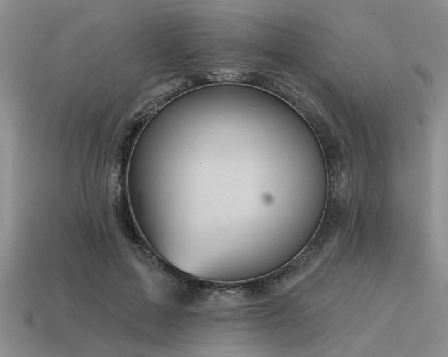 X0000115610599200911101429