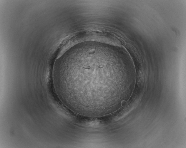 X0000115610600200911101429