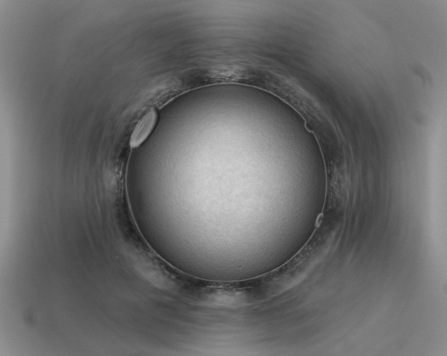 X0000115610601200911101428