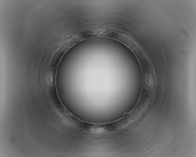 X0000115610602200911101428