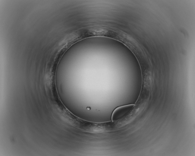 X0000115610604200911101428