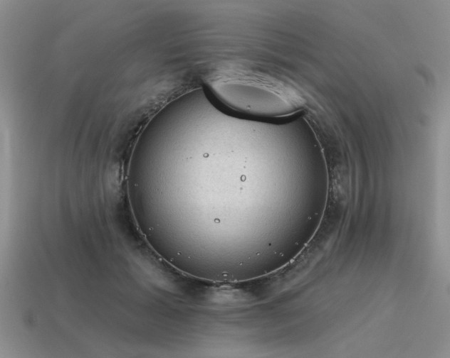 X0000115610605200911101428