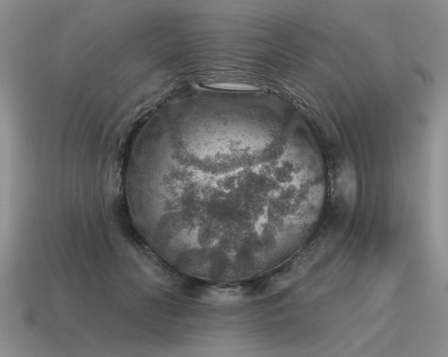 X0000115610606200911101428