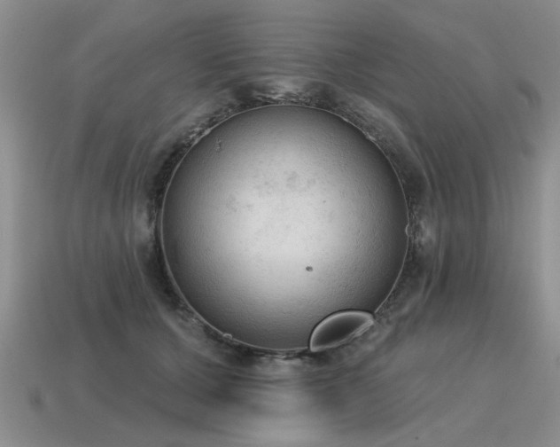 X0000115610607200911101428