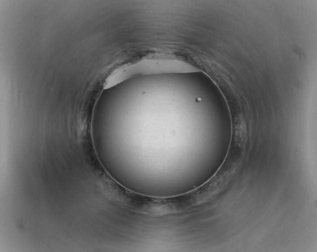 X0000115610608200911101428