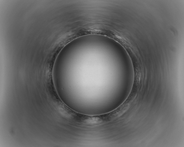 X0000115610609200911101428