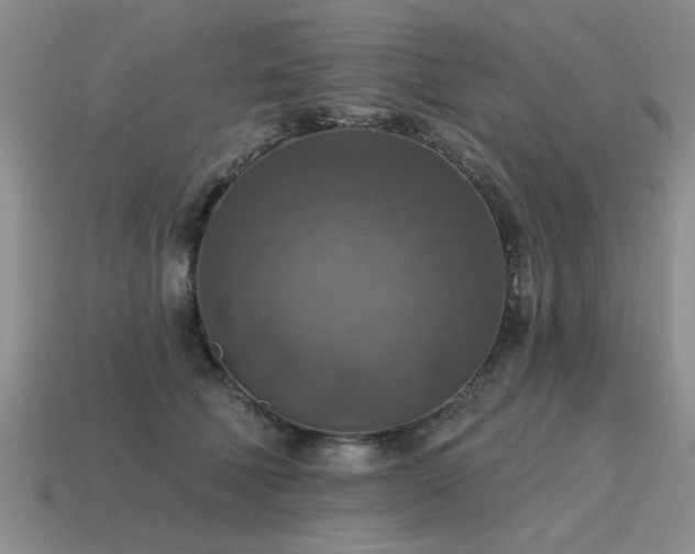 X0000115610610200911101428