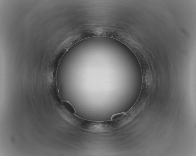 X0000115610611200911101428