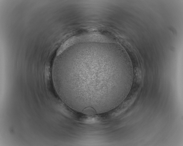 X0000115610612200911101428