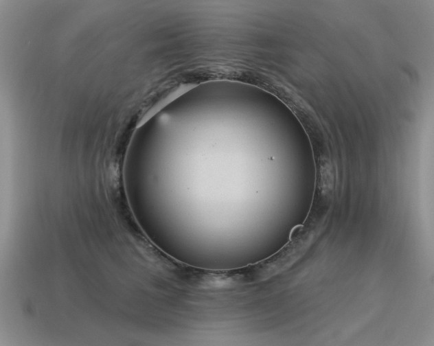 X0000115610613200911101428