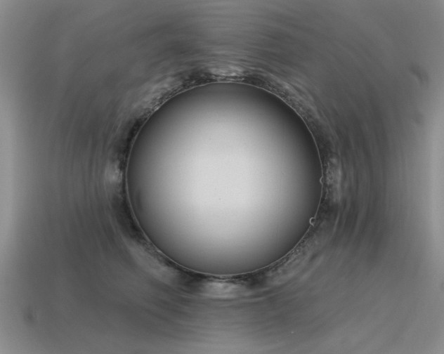 X0000115610614200911101428