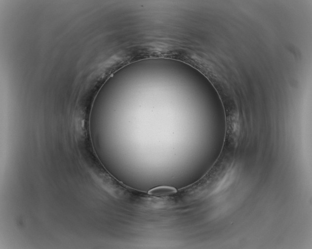 X0000115610615200911101428