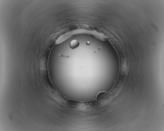 X0000115610616200911101428