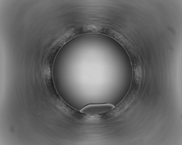 X0000115610617200911101428