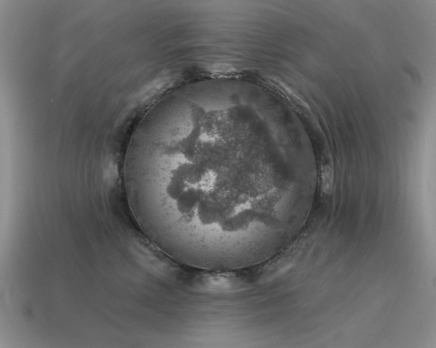 X0000115610618200911101428