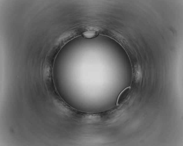 X0000115610619200911101428