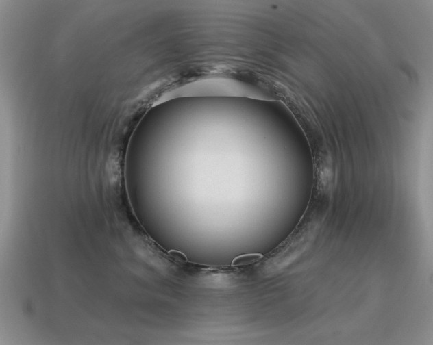 X0000115610620200911101428