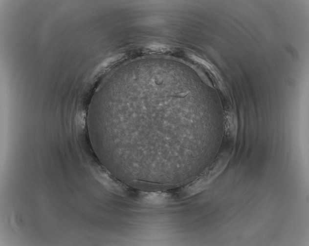 X0000115610621200911101428